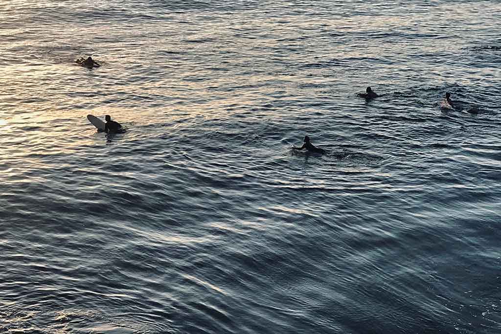 Surfer bitten by shark off Ventura County coast